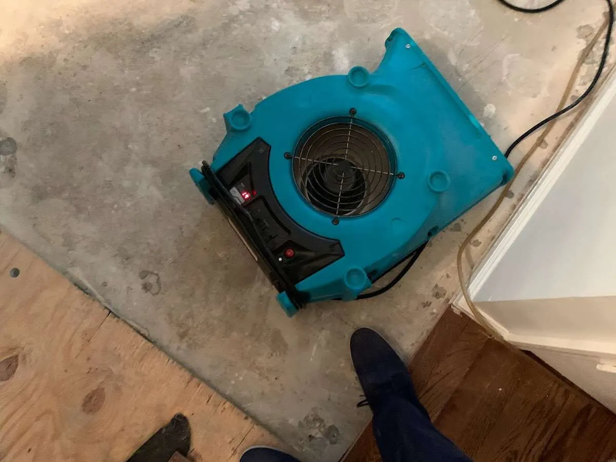 Air mover drying subfloor during Leak Detection & Repair in Geneseo